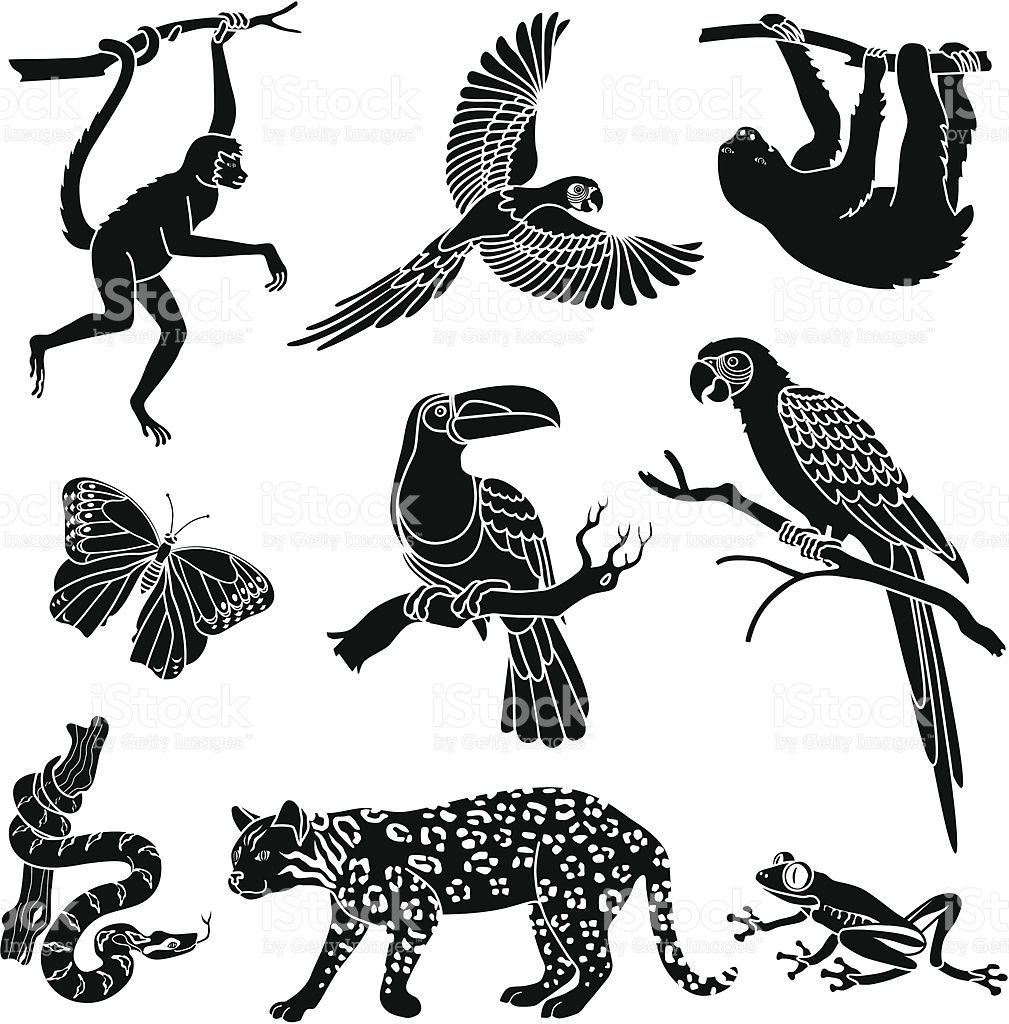 forest-animals-silhouette-at-getdrawings-free-download