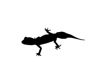 The best free Gecko silhouette images. Download from 70 free