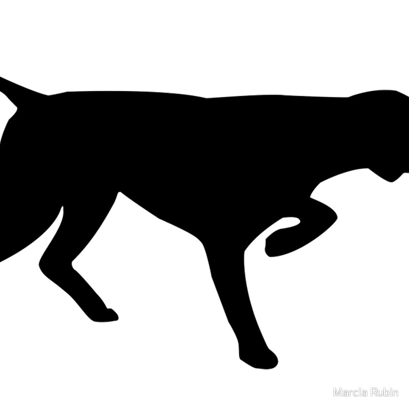 The Best Free Pointer Silhouette Images Download From 163 Free