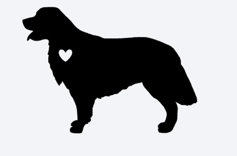 Download Golden Retriever Silhouette At Getdrawings Free Download SVG, PNG, EPS, DXF File