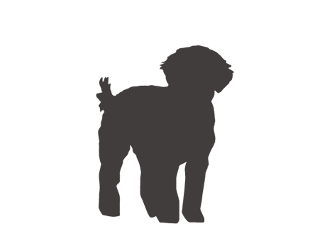 Goldendoodle Silhouette at GetDrawings | Free download