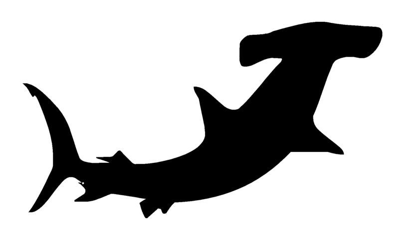 Great White Shark Silhouette At Getdrawings Free Download