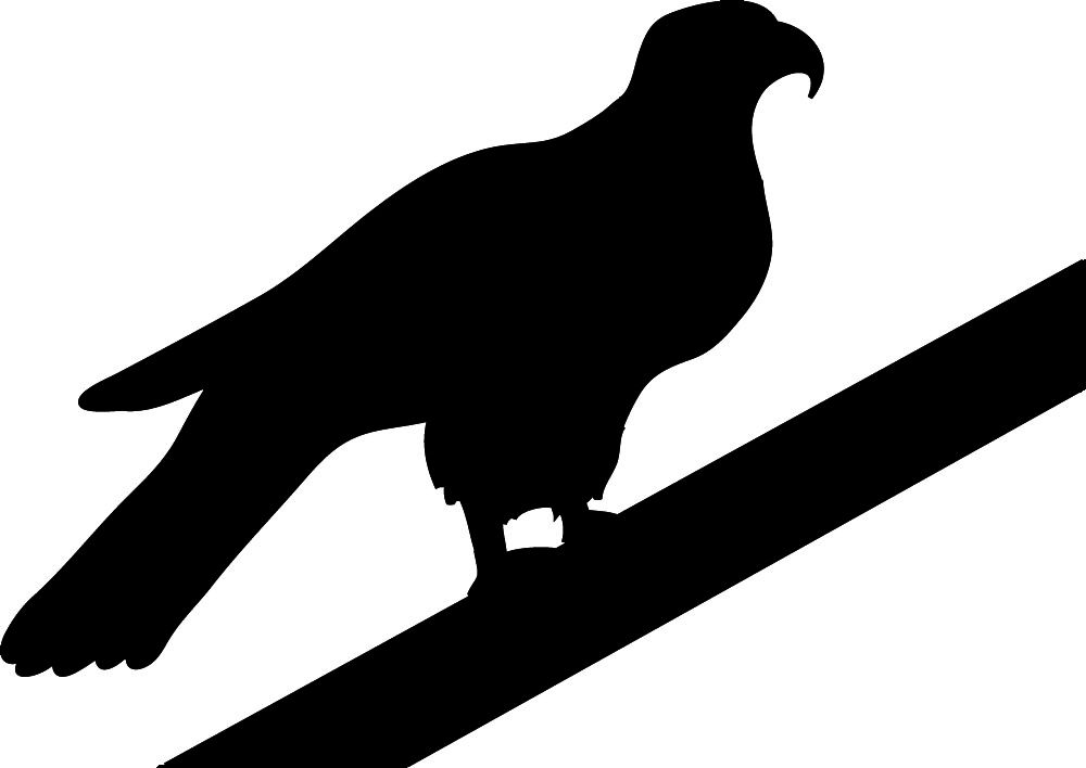 hawk-silhouette-template-at-getdrawings-free-download