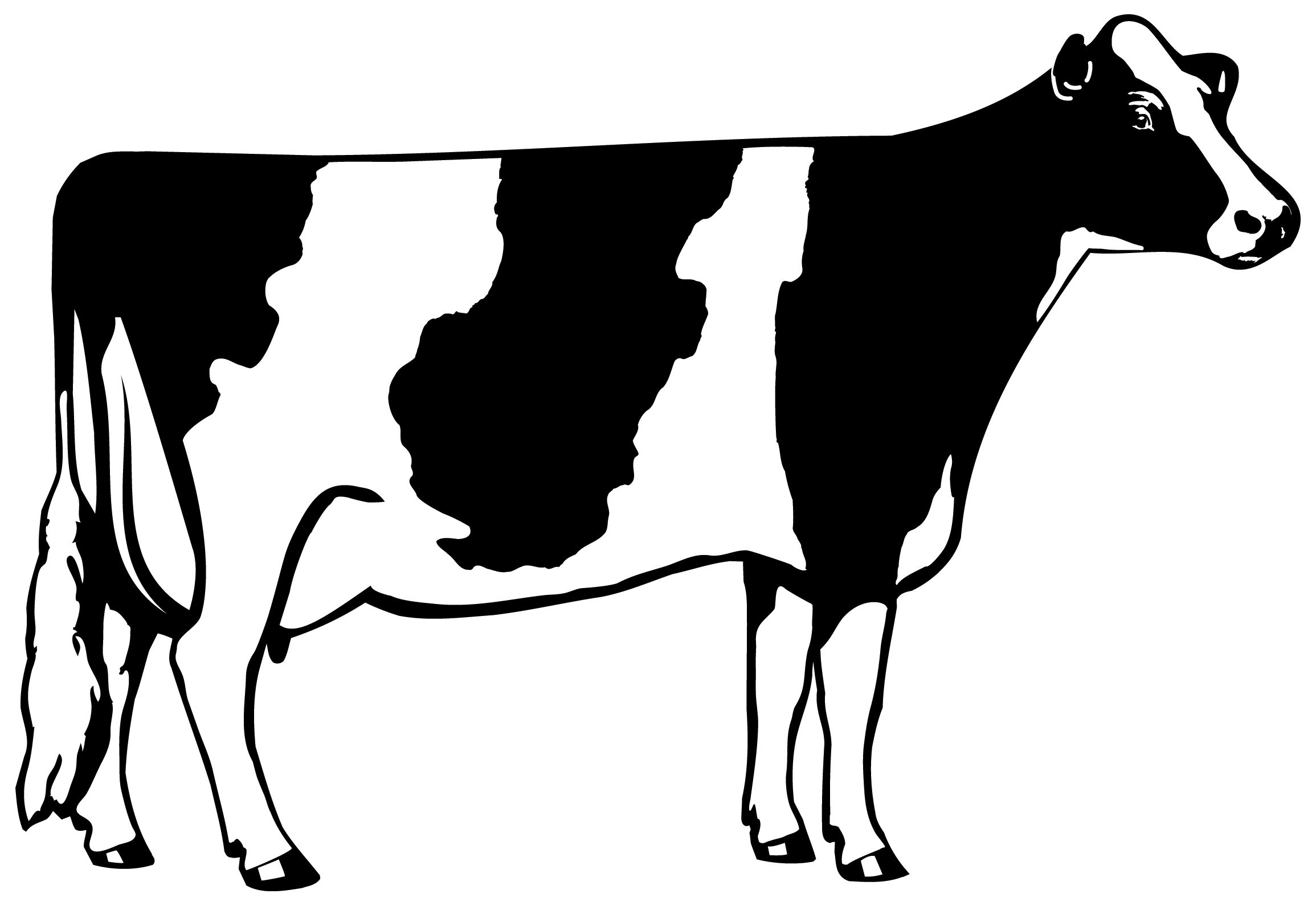 cow silhouette svg free