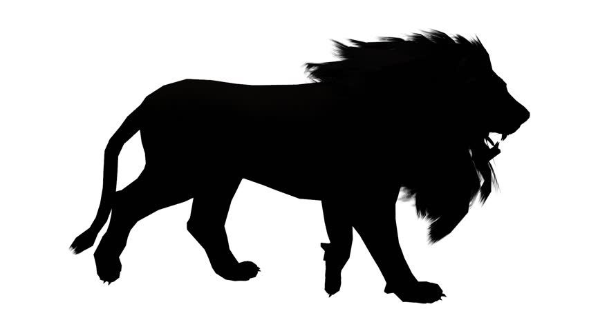 Lion Silhouette A Set Of Lion Silhouettes Vector Illu - vrogue.co