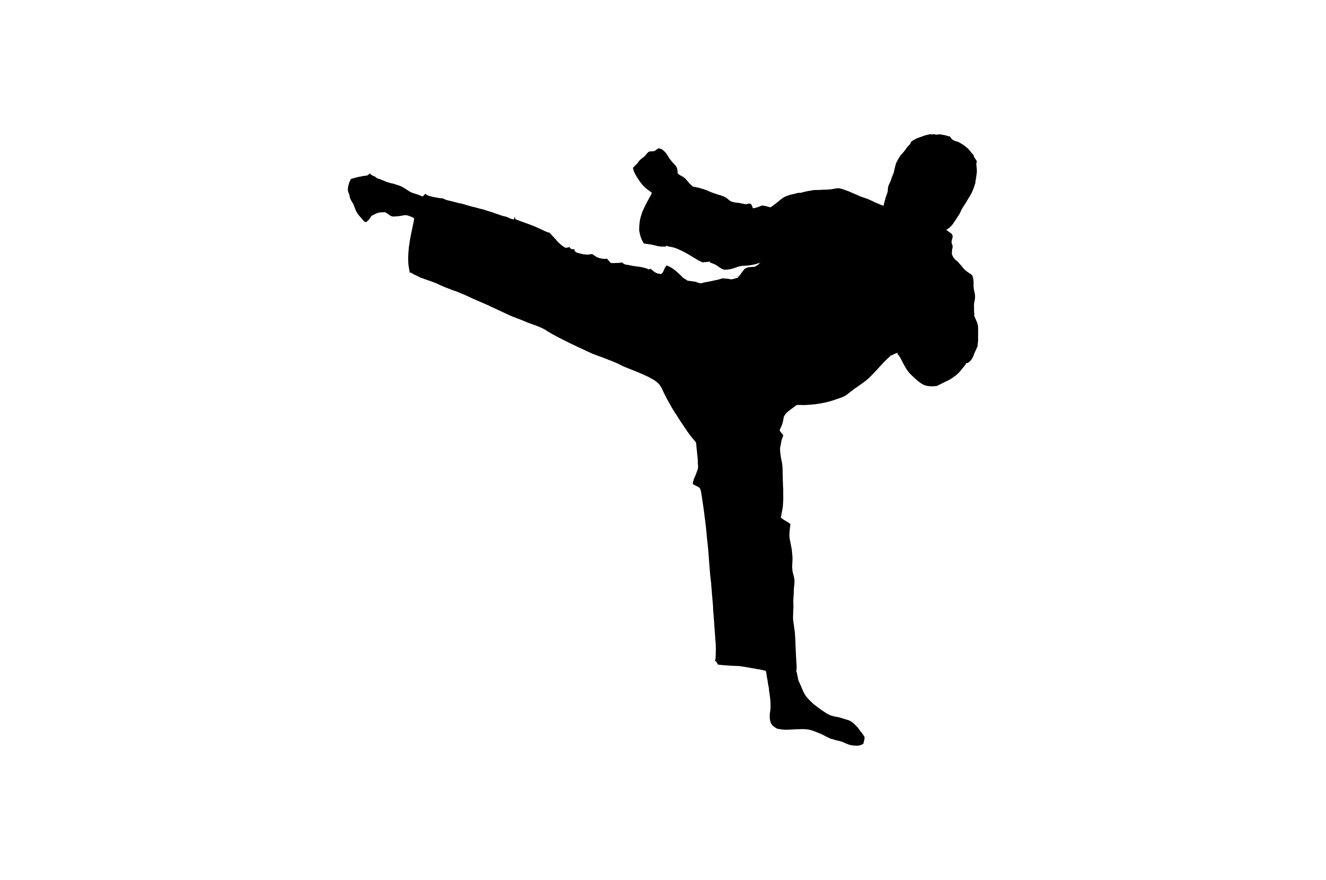 Martial Arts Silhouette at GetDrawings | Free download