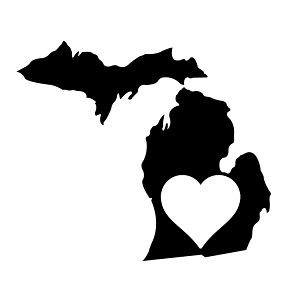 Image result for michigan heart