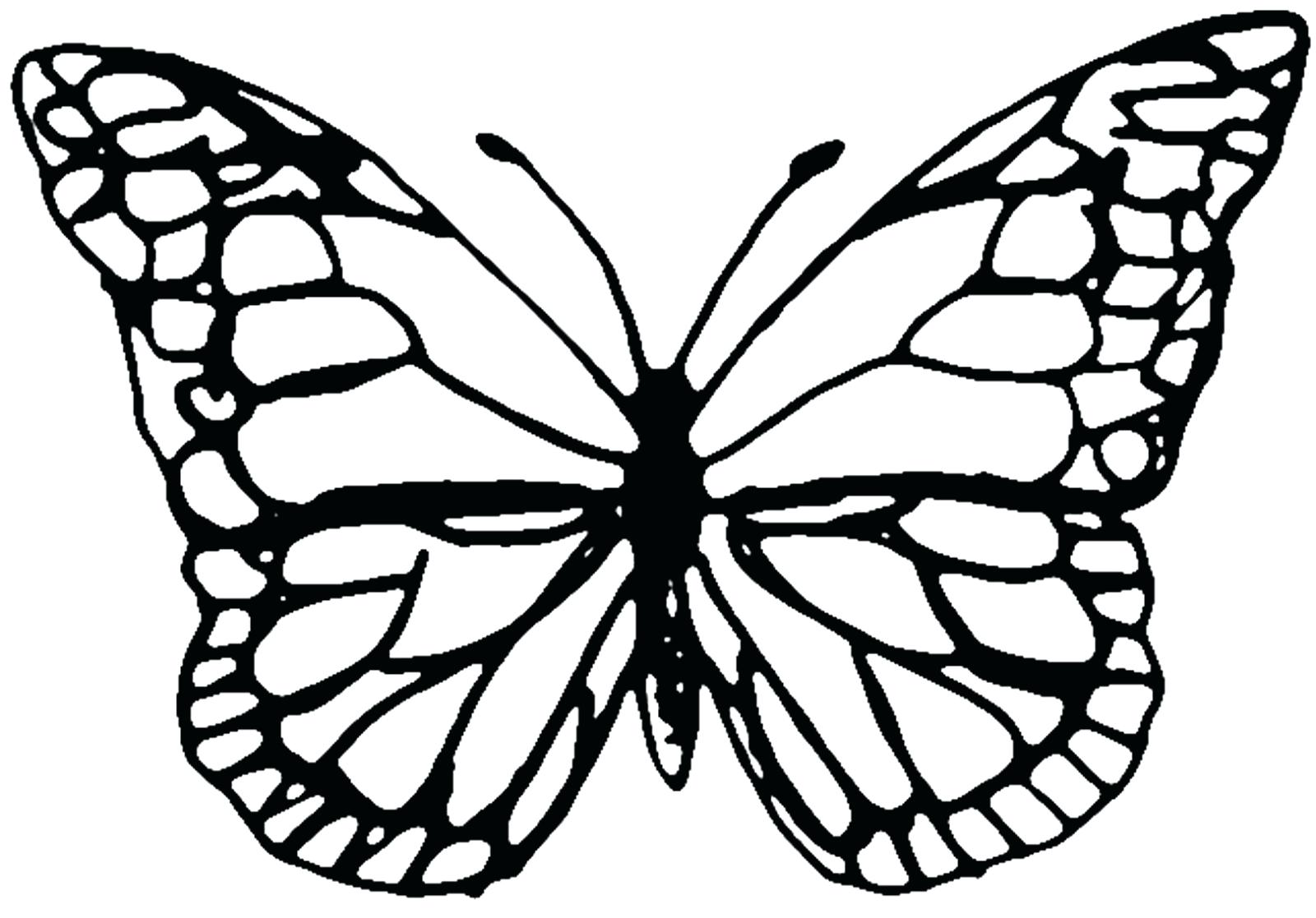 Monarch Butterfly Silhouette