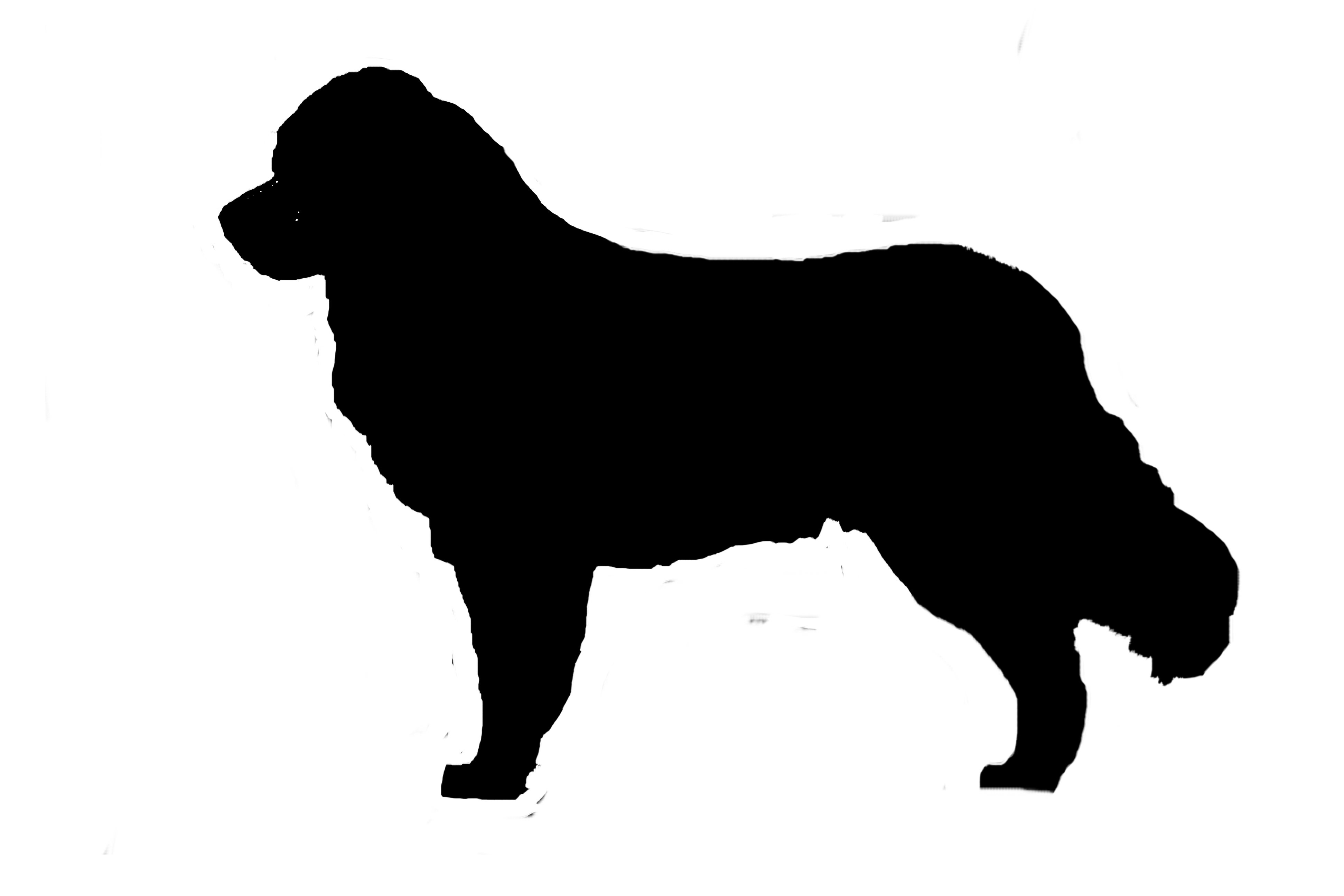 Newfoundland Silhouette at GetDrawings | Free download