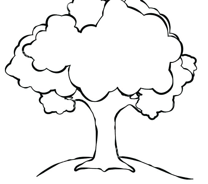 Oak Tree Silhouette Clip Art At Getdrawings 