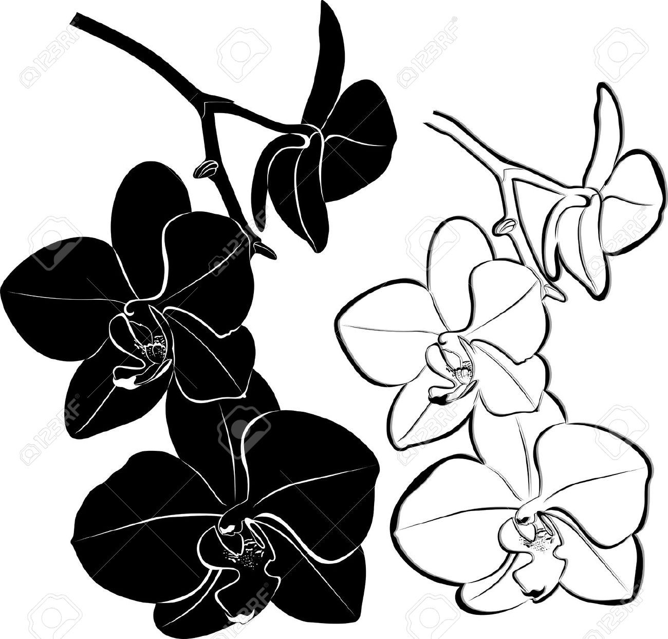 Orchid Silhouette At Getdrawings Free Download