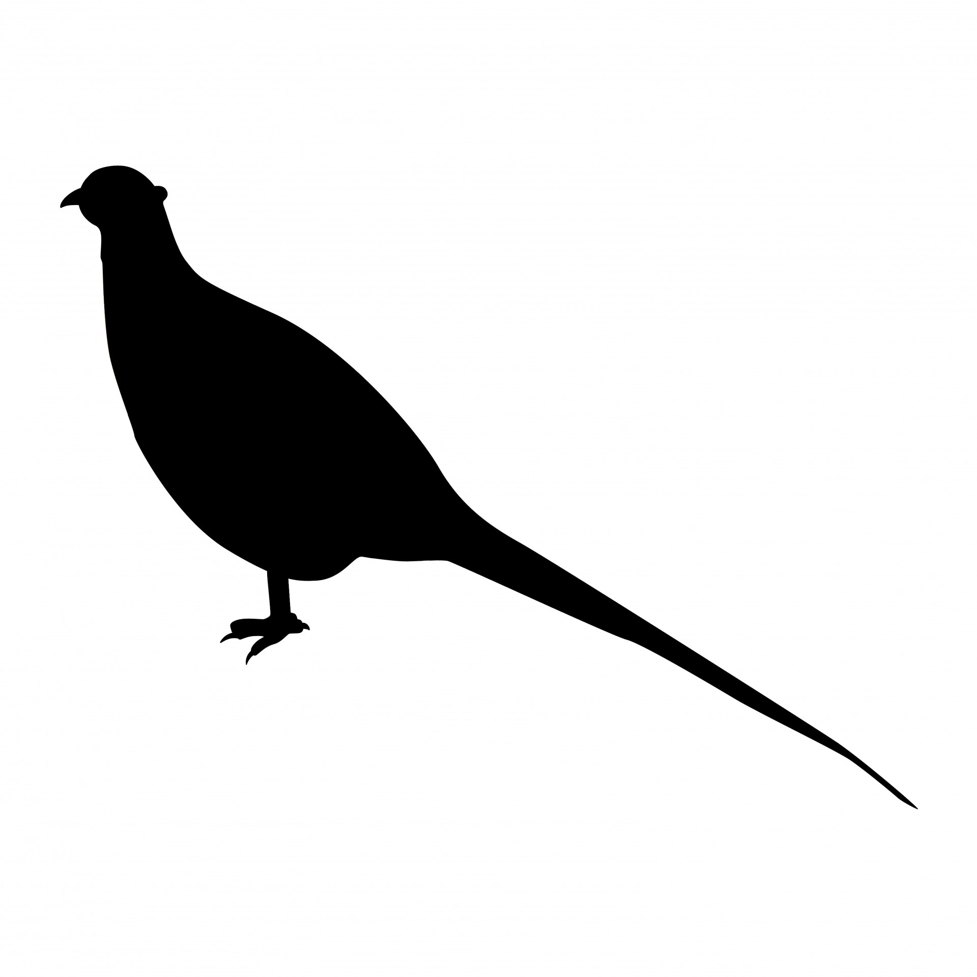 Pheasant Hunting Silhouette at GetDrawings | Free download