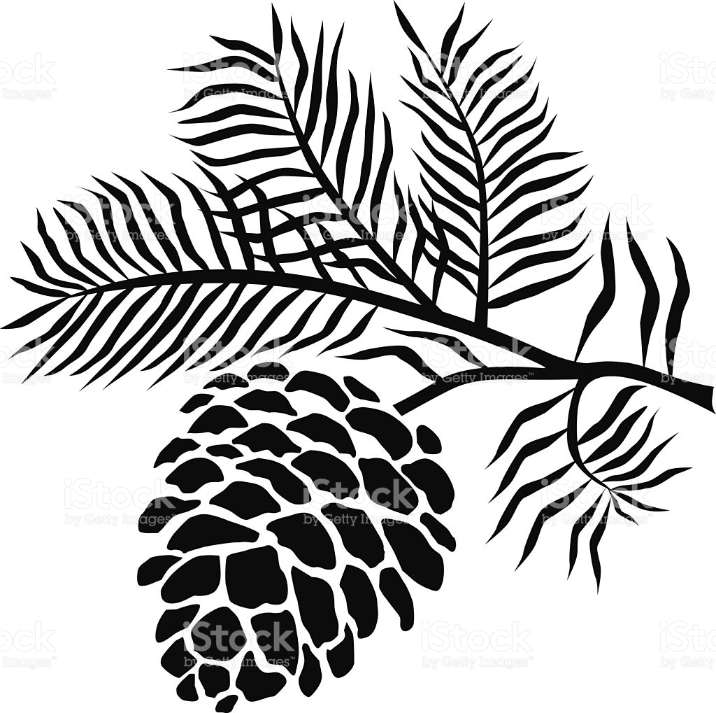 Pine Cone Silhouette at GetDrawings | Free download