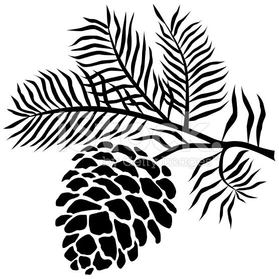 Pine Cone Silhouette At GetDrawings Free Download