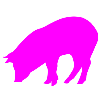 The Best Free Pig Silhouette Images. Download From 608 Free Silhouettes 