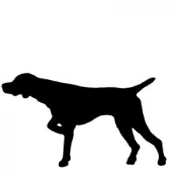 Download Pointing Dog Silhouette At Getdrawings Free Download PSD Mockup Templates