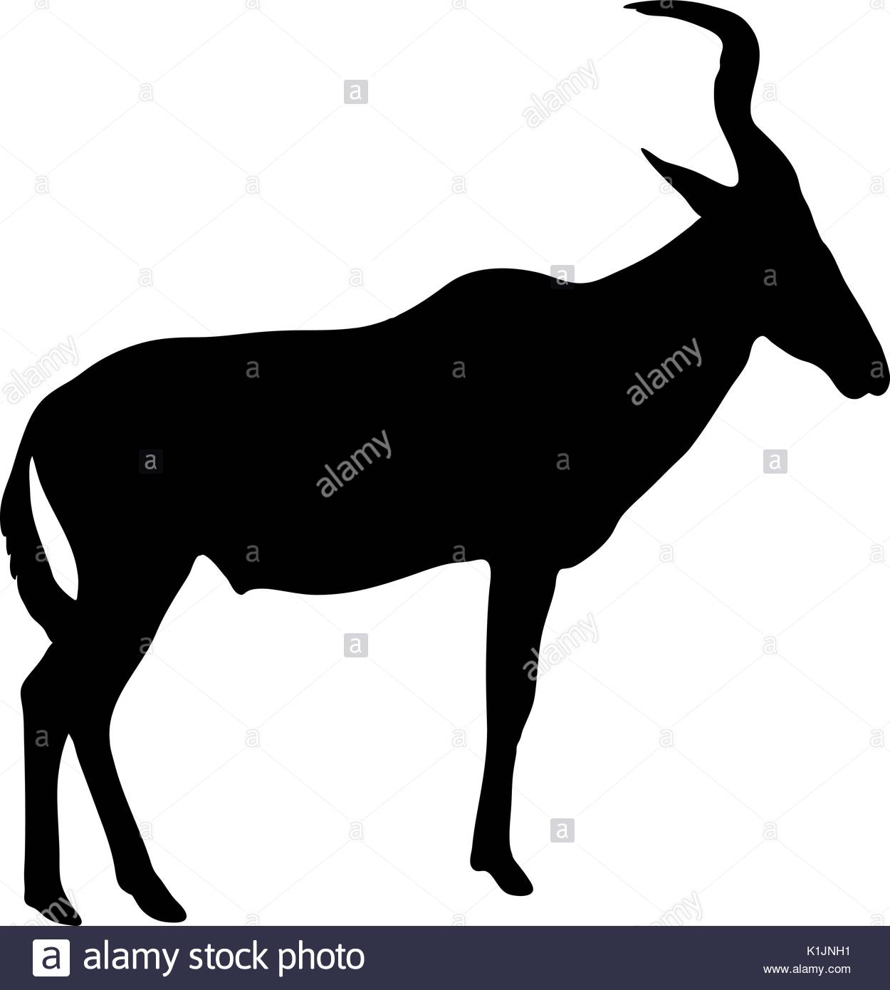 Pronghorn Antelope Silhouette at GetDrawings | Free download
