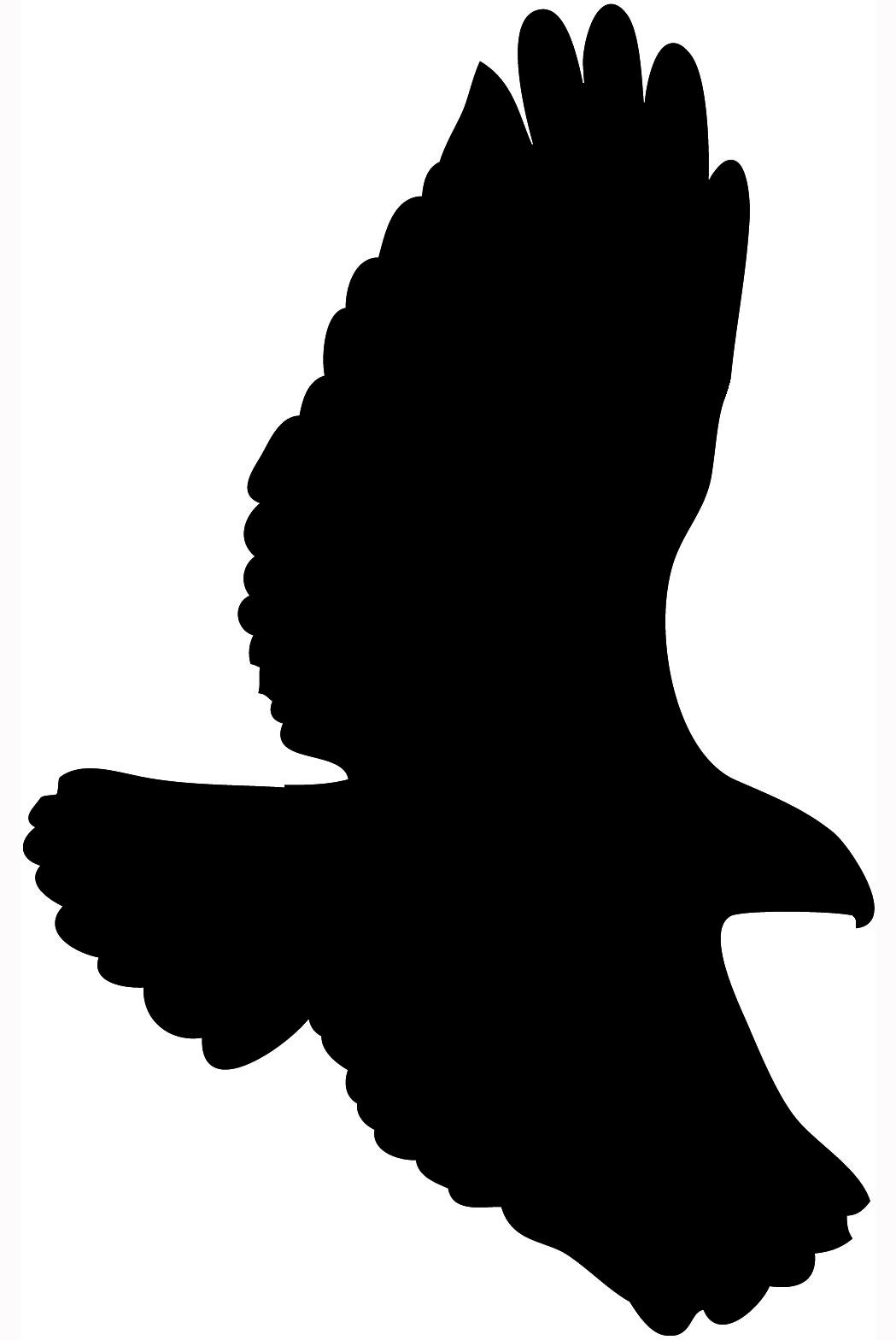 red tailed hawk silhouette