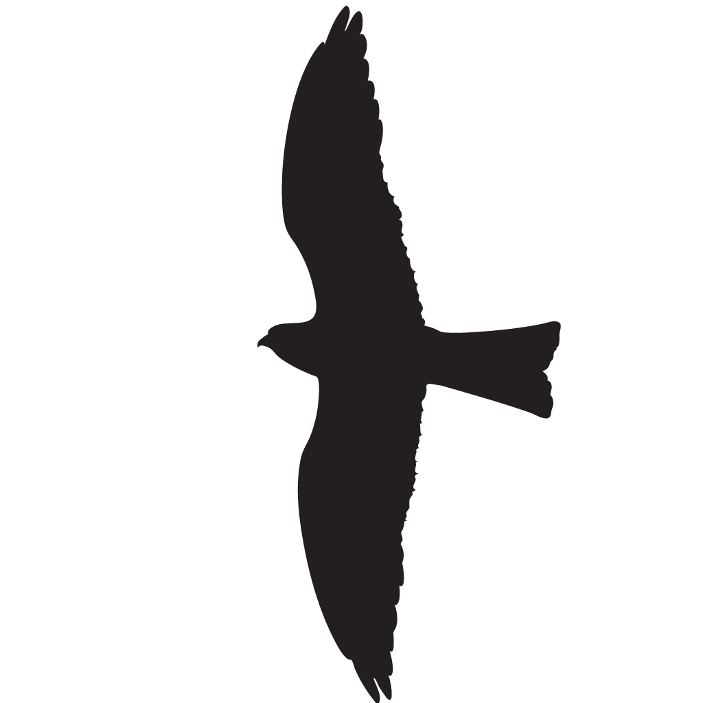 Red Tailed Hawk Silhouette at GetDrawings | Free download