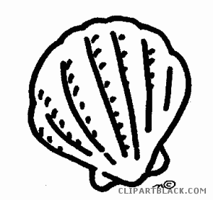 Sea Shell Silhouette at GetDrawings | Free download