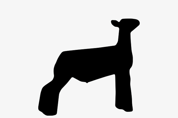 Show Steer Silhouette at GetDrawings | Free download