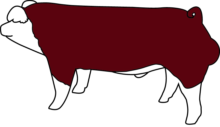 Show Steer Silhouette at GetDrawings | Free download