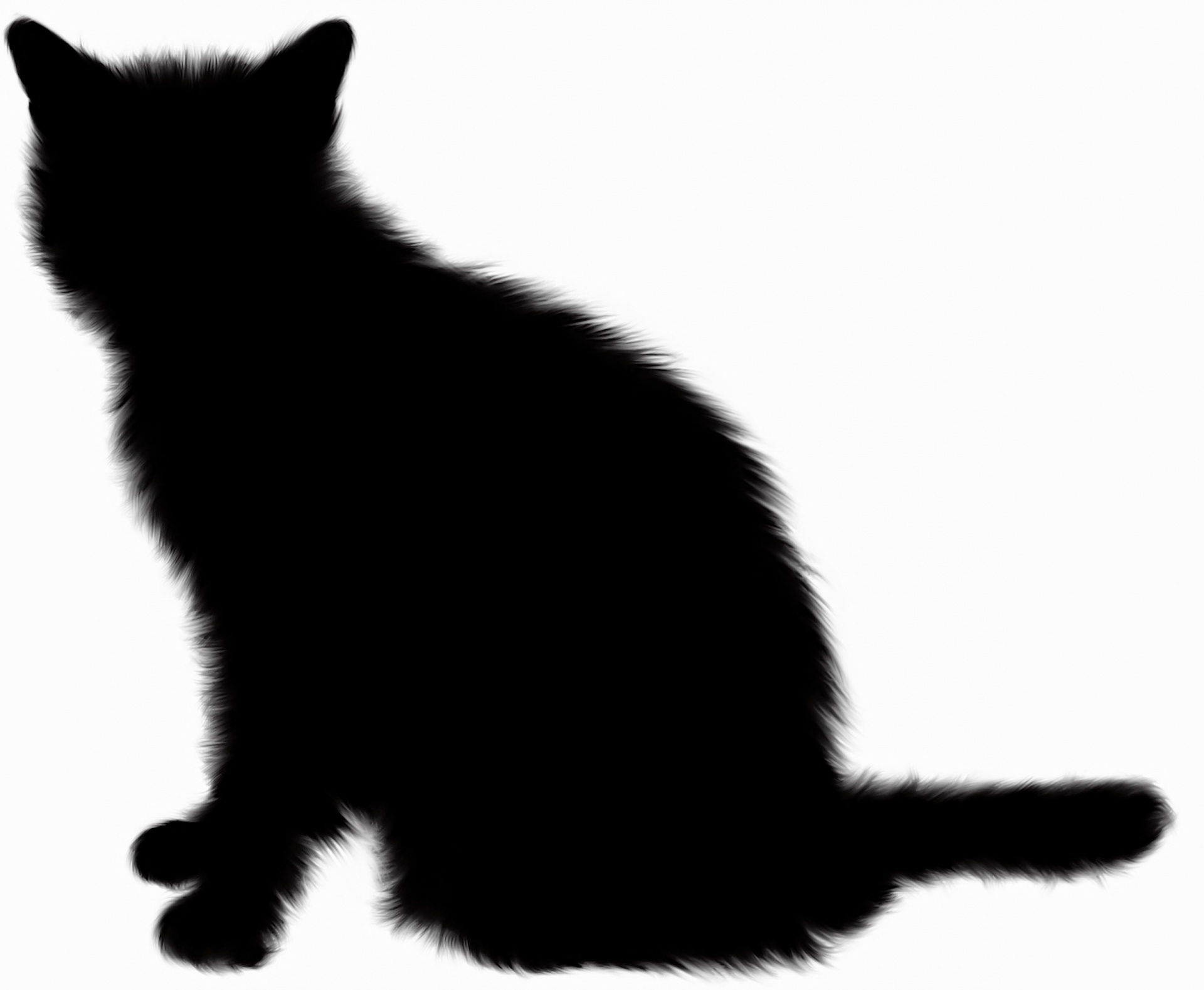 Siamese Cat Silhouette at GetDrawings | Free download