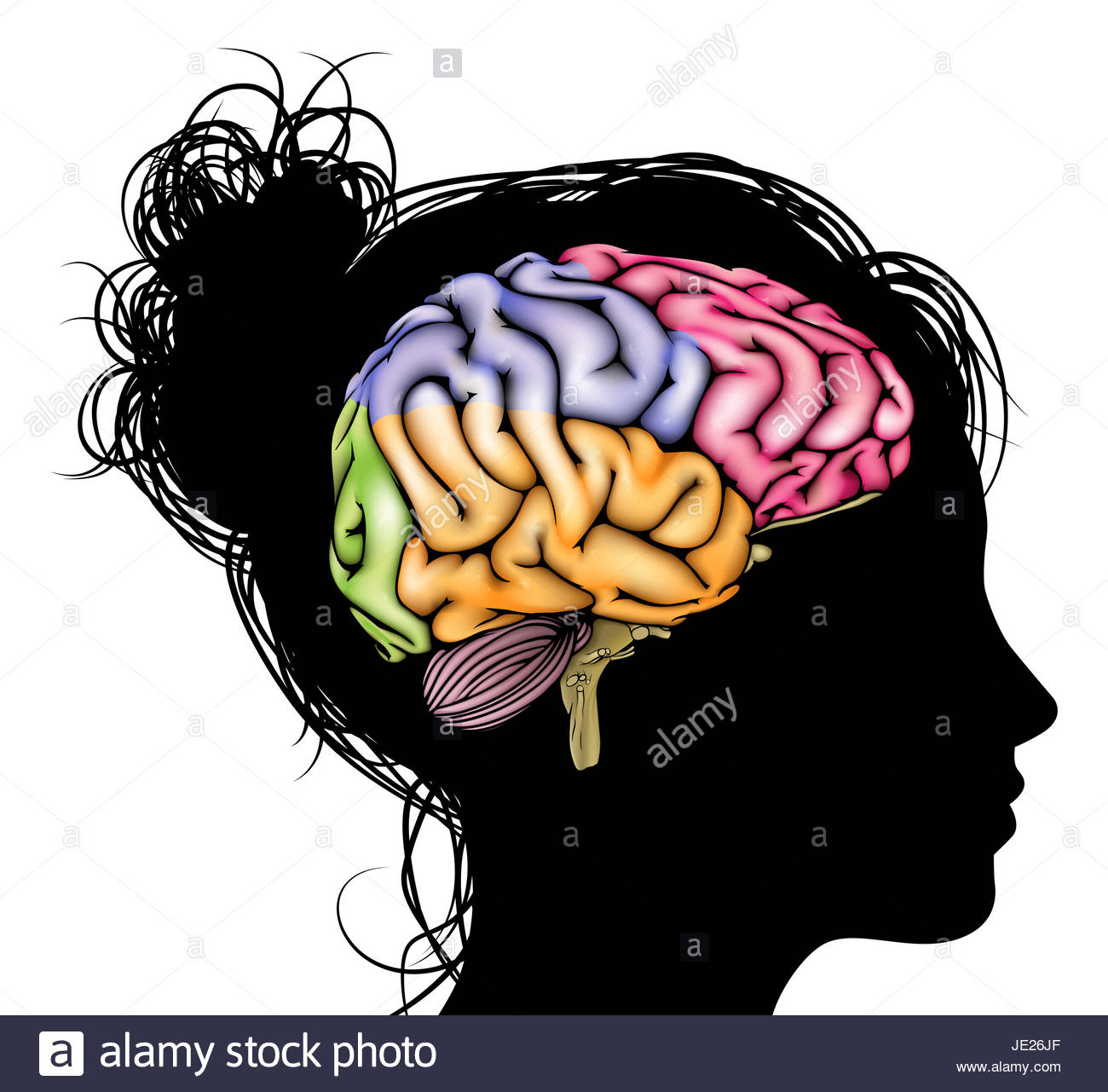 simple drawing of human brain