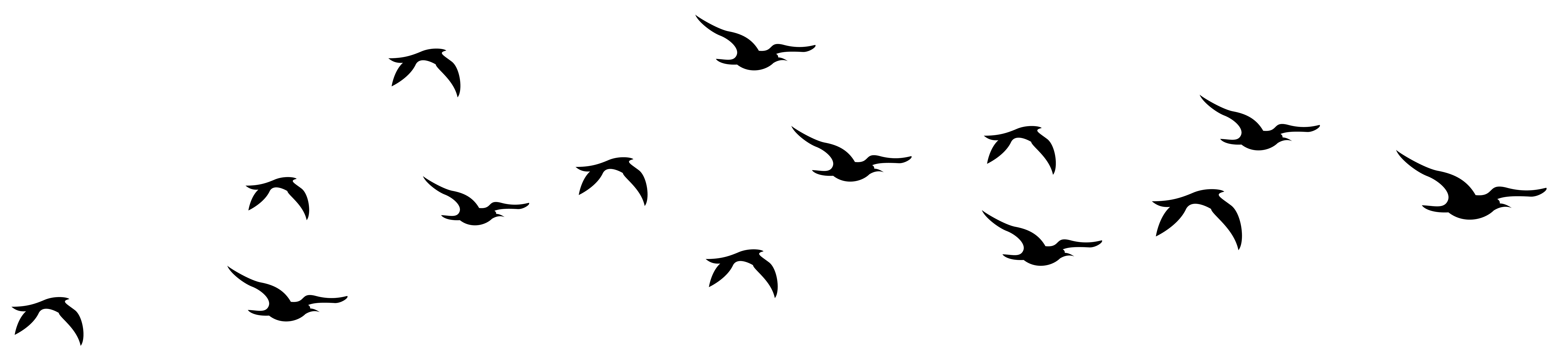 Silhouette Images Of Birds at GetDrawings | Free download