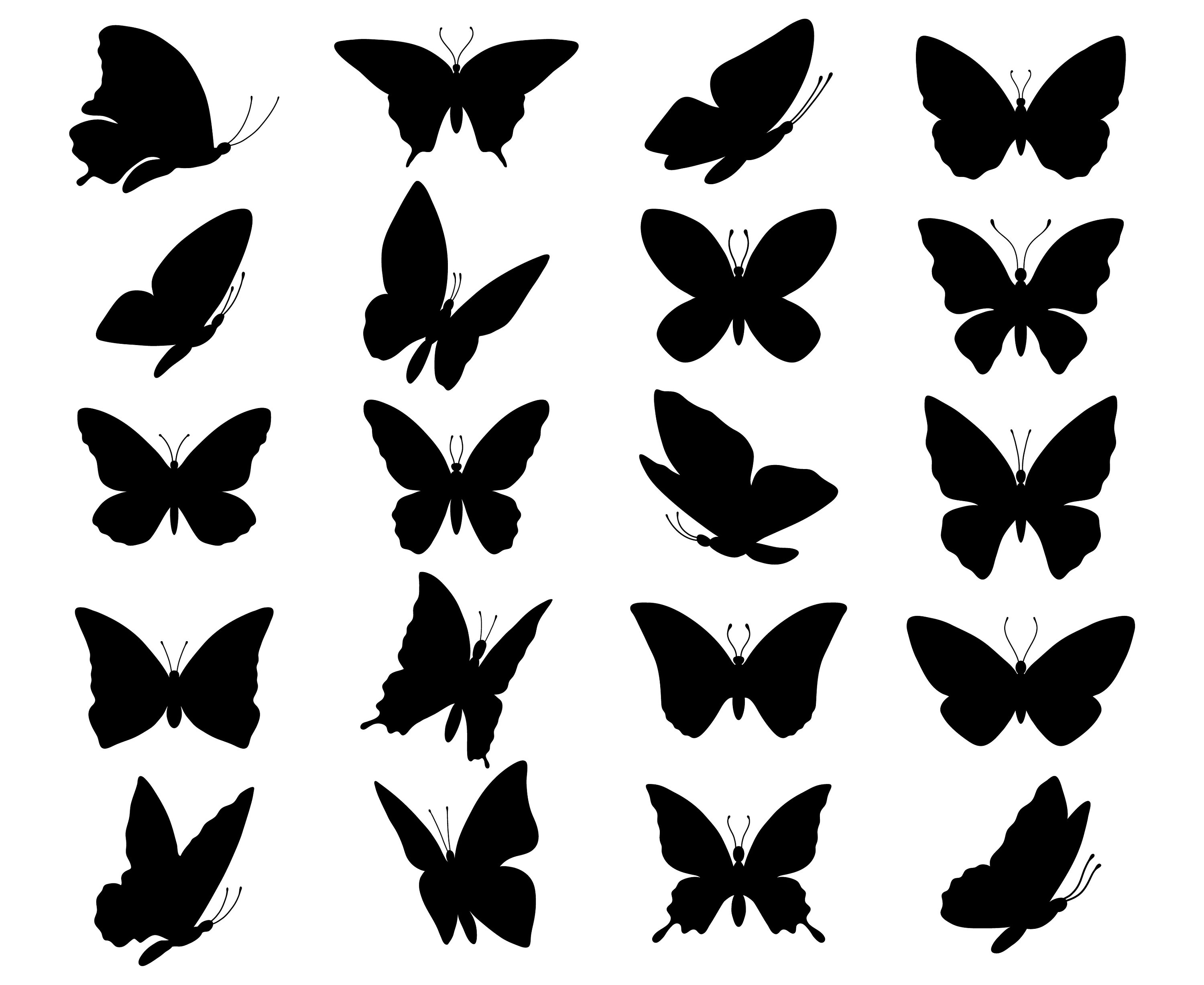 Силуэт бабочки