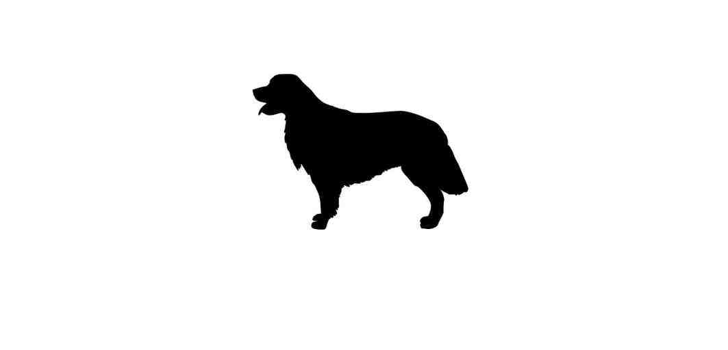 Silhouette Of Golden Retriever at GetDrawings | Free download