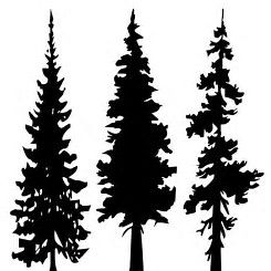 Silhouette Pine Trees at GetDrawings | Free download