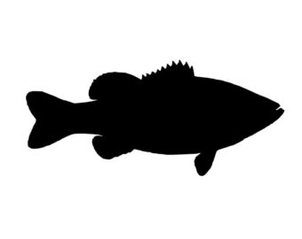 bass silhouette smallmouth decal getdrawings upright rig oil