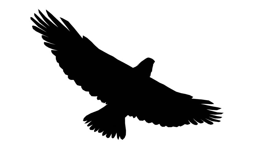 Soaring Eagle Silhouette At Getdrawings 