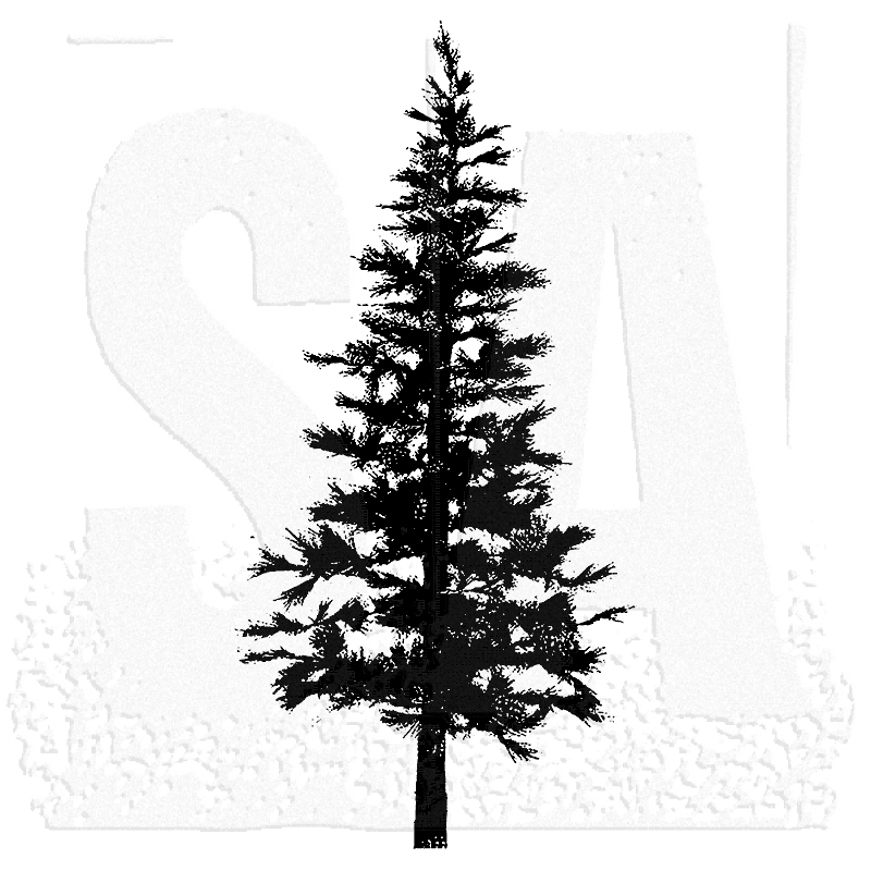 Spruce Tree Silhouette at GetDrawings | Free download