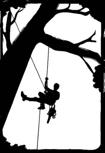 Tree Climber Silhouette at GetDrawings | Free download