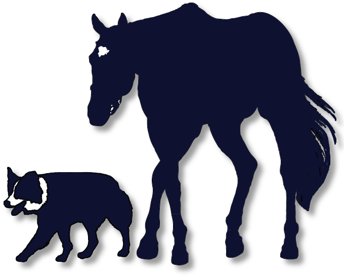 The best free Veterinary silhouette images. Download from 40 free