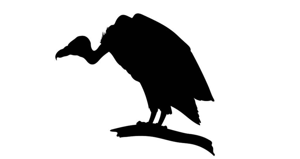 Vulture Silhouette At Getdrawings Free Download