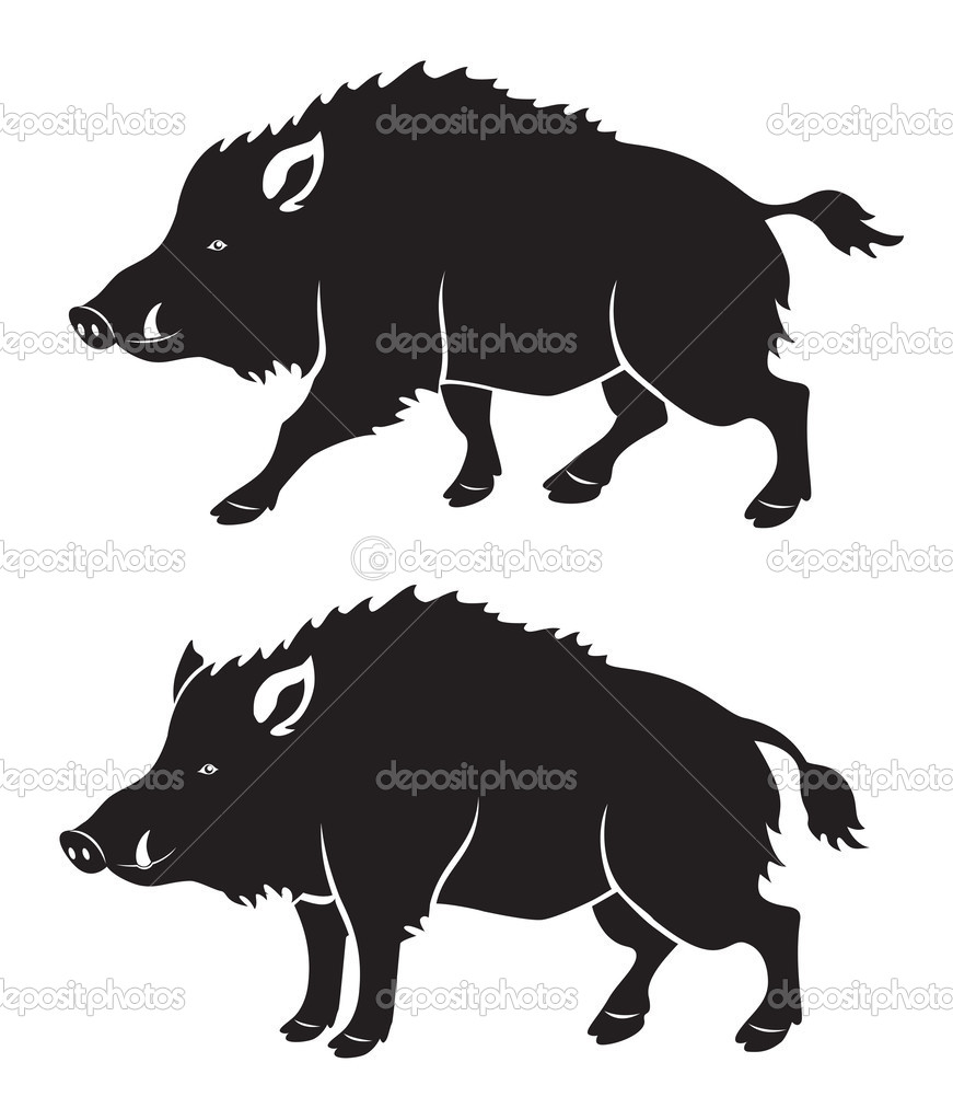 Wild Hog Silhouette At Getdrawings Free Download