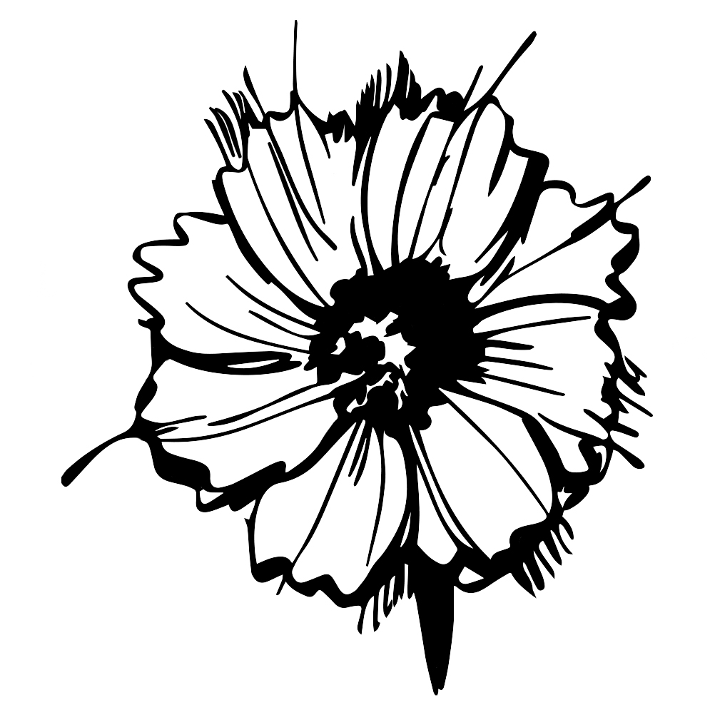 Wildflower Silhouette at GetDrawings | Free download