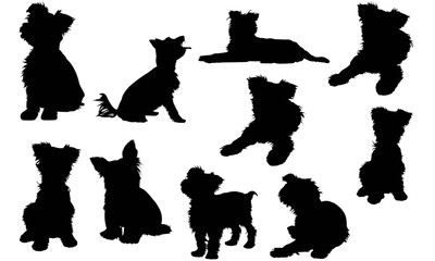 Yorkshire Terrier Silhouette At Getdrawings Free Download