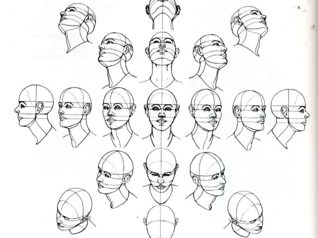 3 4 View Portrait Drawing at GetDrawings Free download