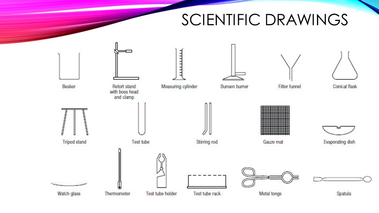 Sketch Spatula Laboratory Apparatus Drawing / These spatulas are
