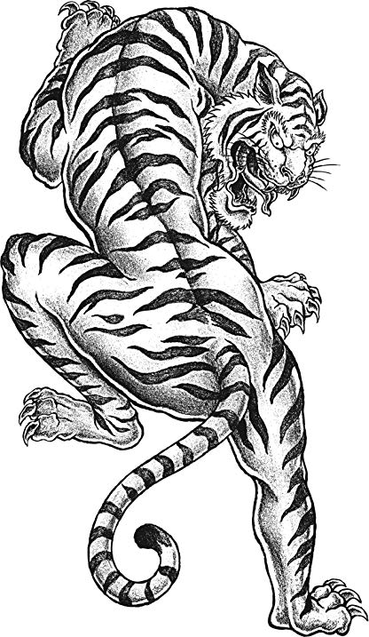 Asian Tiger Drawing at GetDrawings | Free download