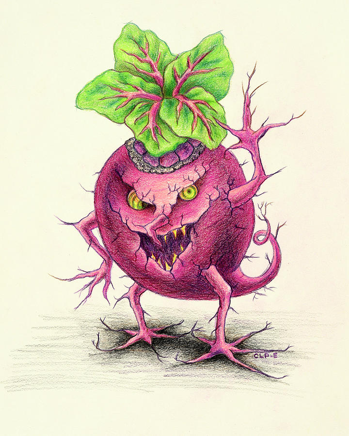 Beet Drawing at GetDrawings | Free download