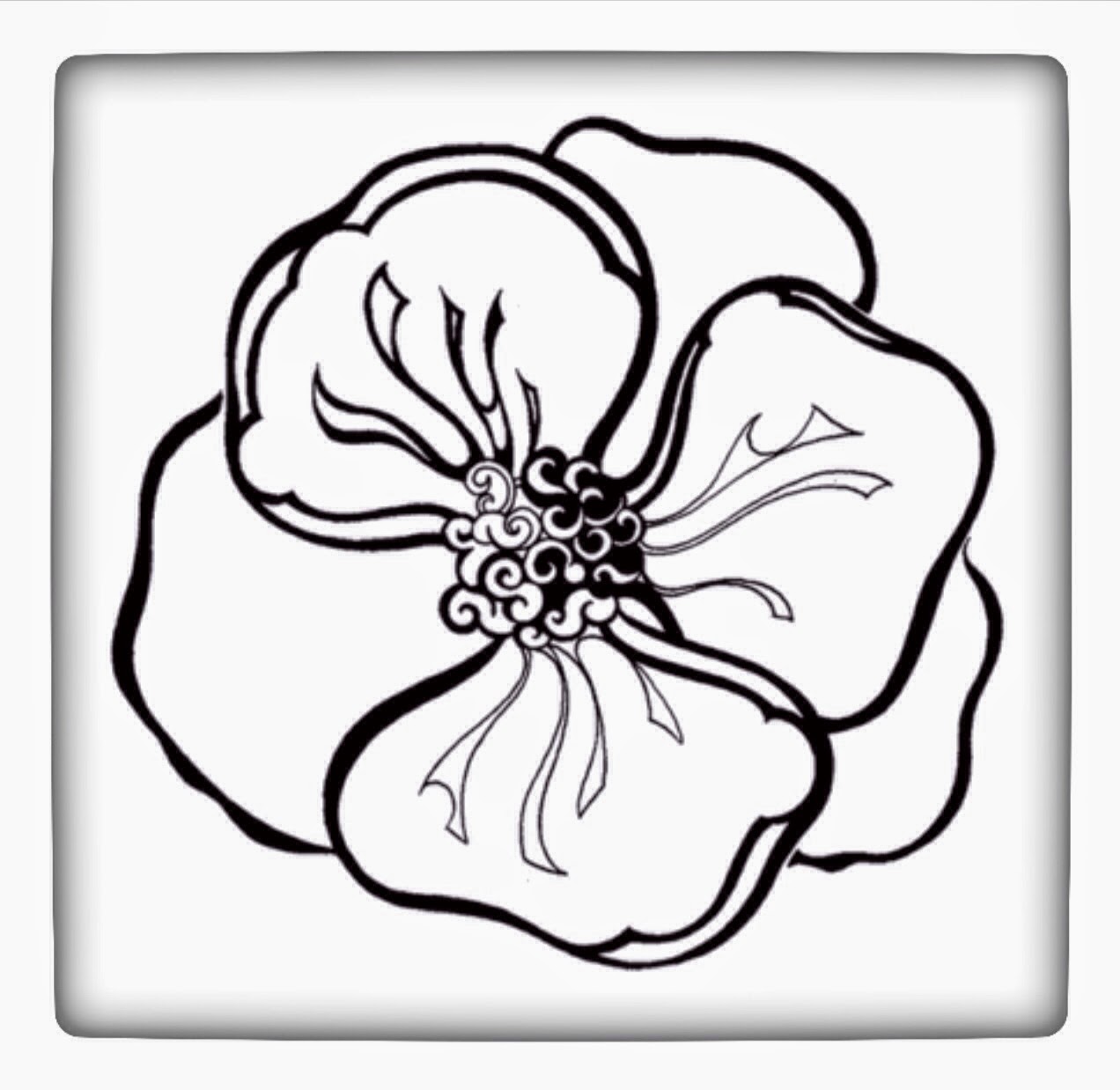 Begonia Drawing at GetDrawings Free download