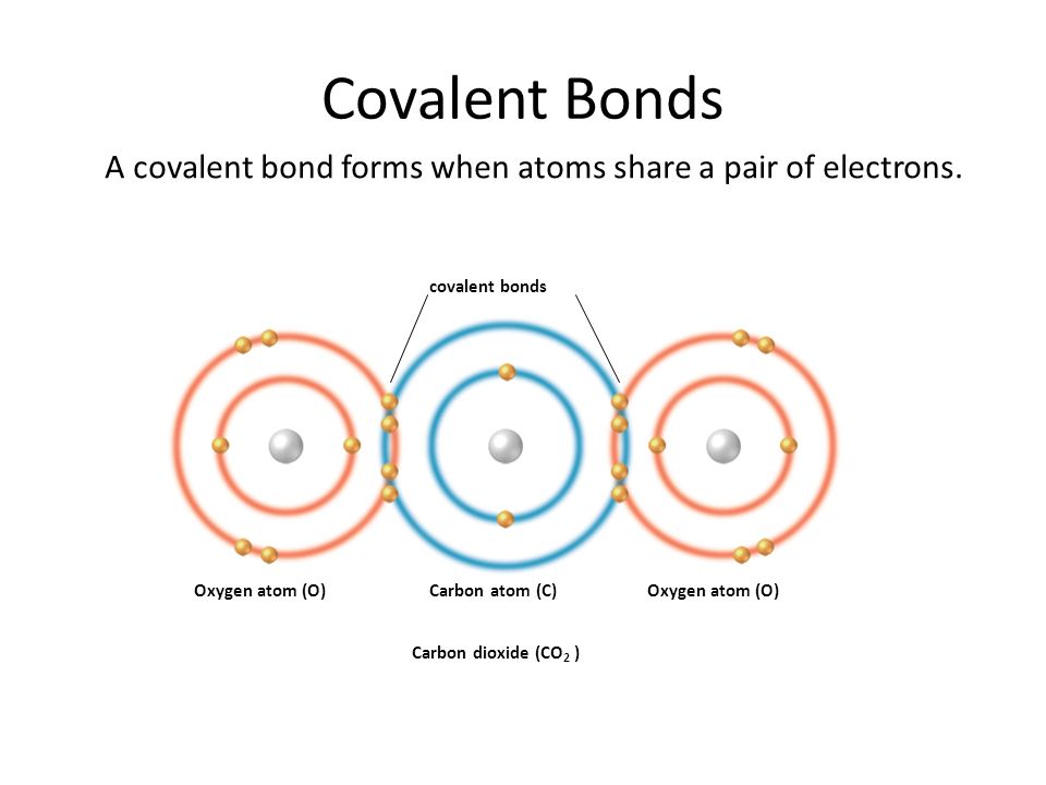 carbon bohr model atom