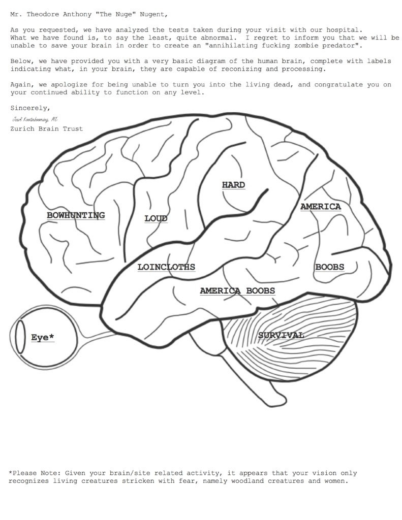 Brain Drawing With Labels at GetDrawings Free download