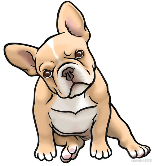 The best free Frenchie drawing images. Download from 18