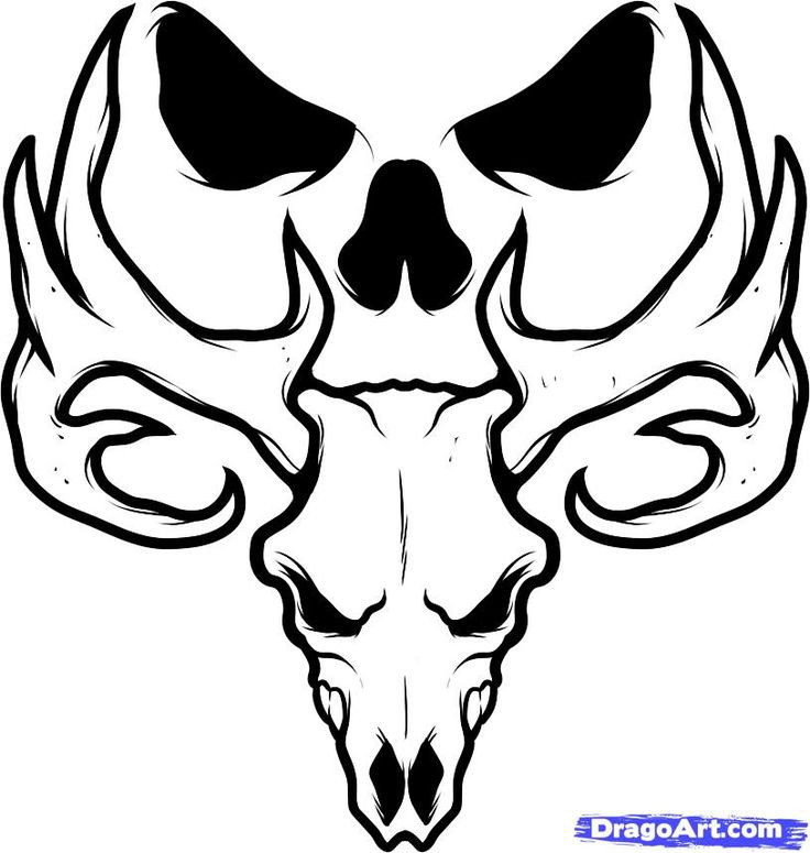 Deer Head Outline Drawing at GetDrawings Free download